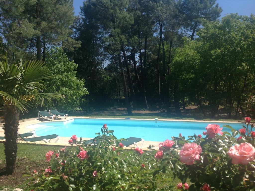 Le Clos Des Cigales Roussillon en Isere Camera foto
