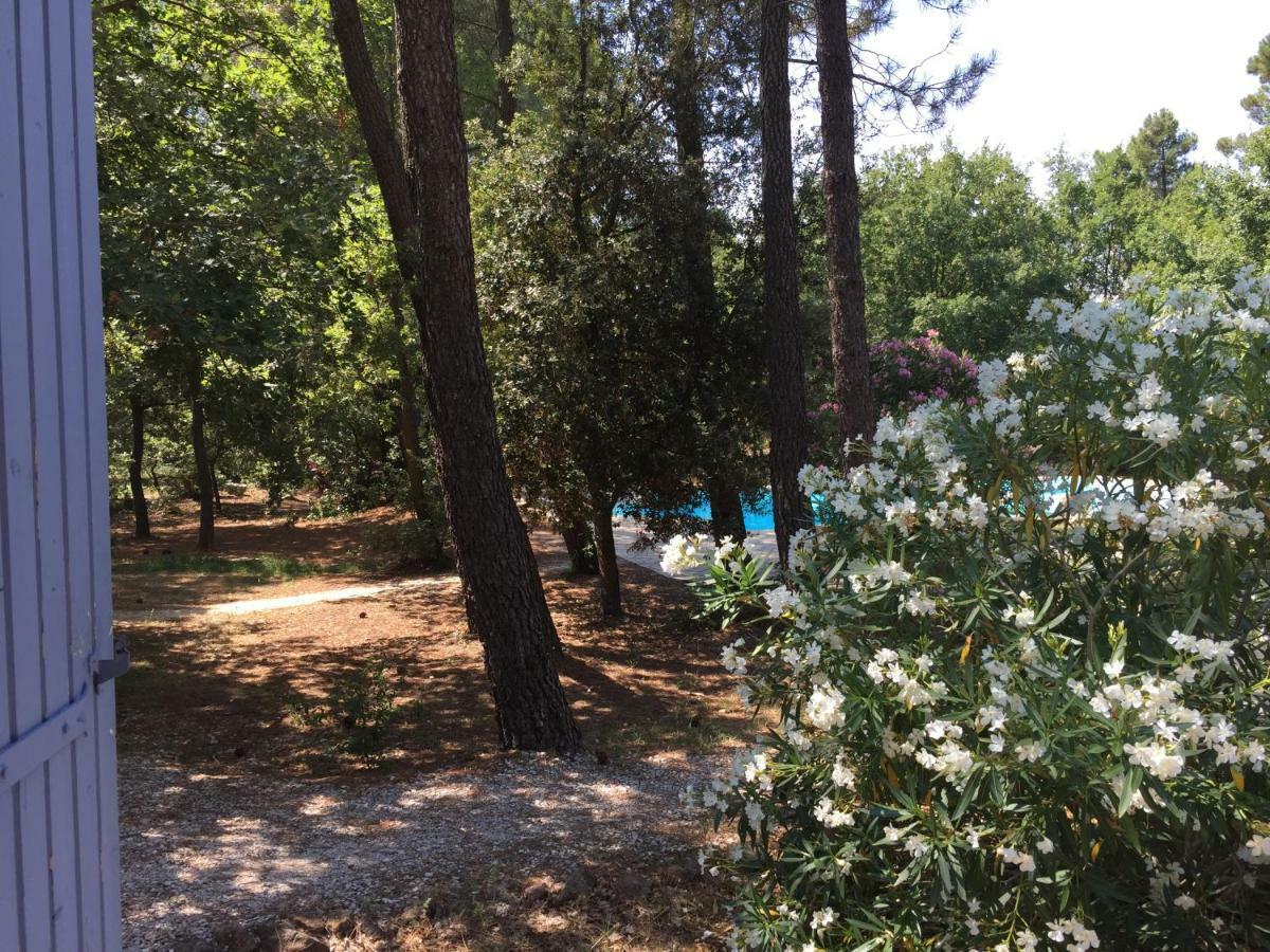 Le Clos Des Cigales Roussillon en Isere Esterno foto